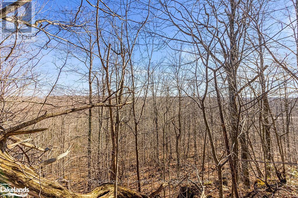 825141 Grey Road 40, Grey Highlands, Ontario  N0H 2S0 - Photo 14 - X10436629