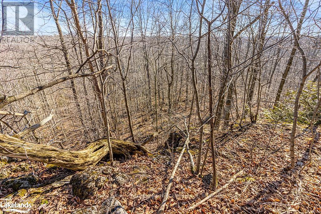 825141 Grey Road 40, Grey Highlands, Ontario  N0H 2S0 - Photo 15 - X10436629