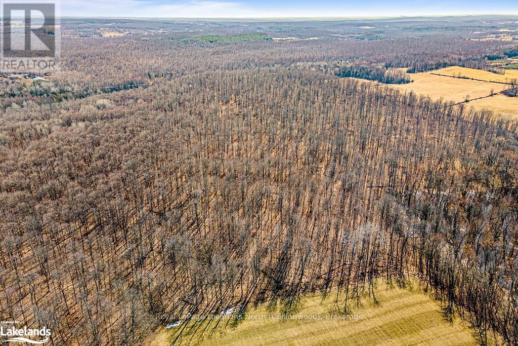 825141 Grey Road 40, Grey Highlands, Ontario  N0H 2S0 - Photo 3 - X10436629