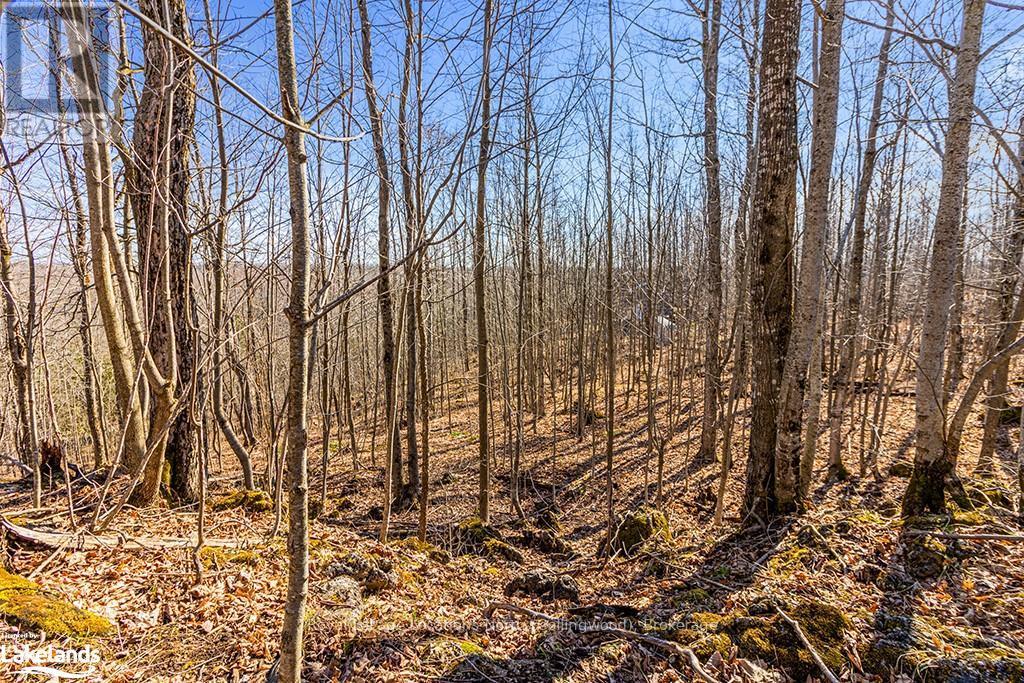 825141 Grey Road 40, Grey Highlands, Ontario  N0H 2S0 - Photo 35 - X10436629