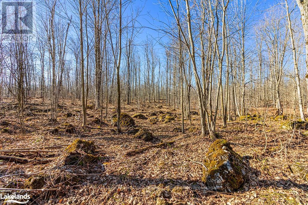 825141 Grey Road 40, Grey Highlands, Ontario  N0H 2S0 - Photo 36 - X10436629