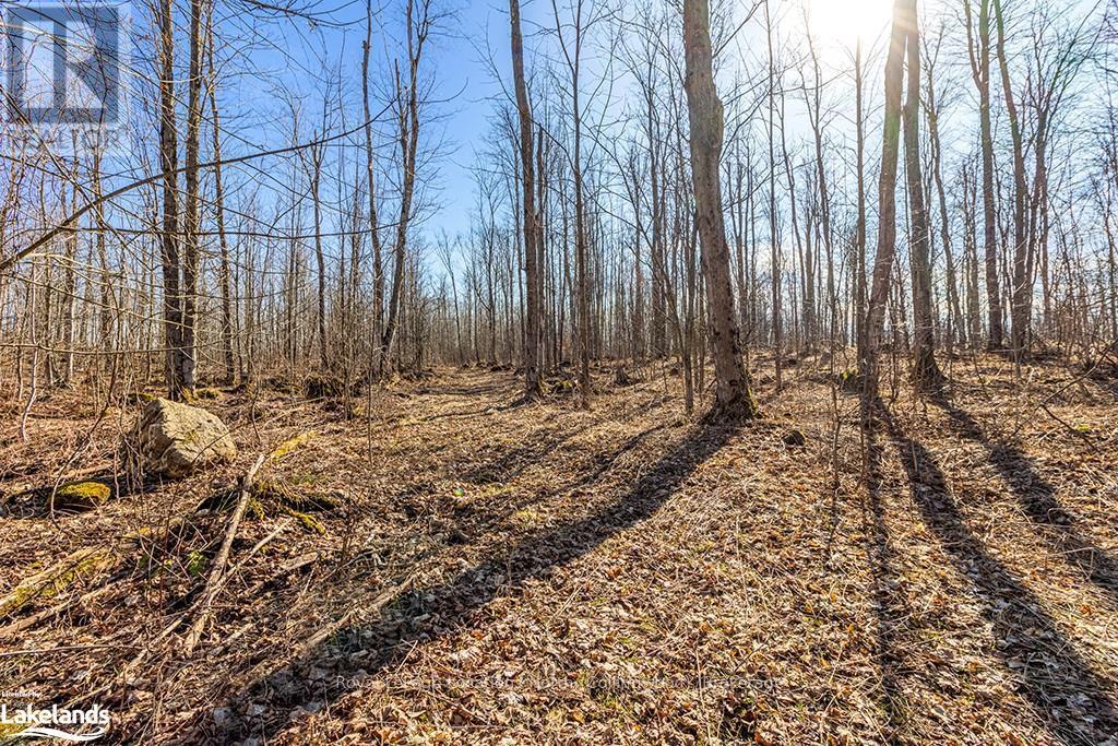 825141 Grey Road 40, Grey Highlands, Ontario  N0H 2S0 - Photo 37 - X10436629