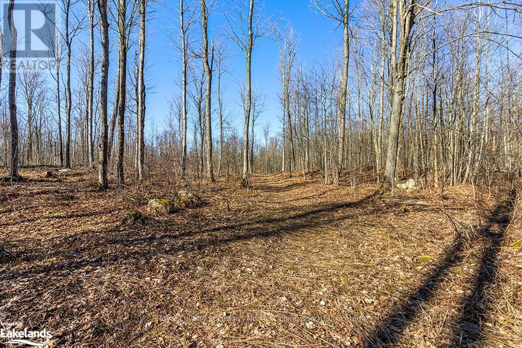 825141 Grey Road 40, Grey Highlands, Ontario  N0H 2S0 - Photo 38 - X10436629