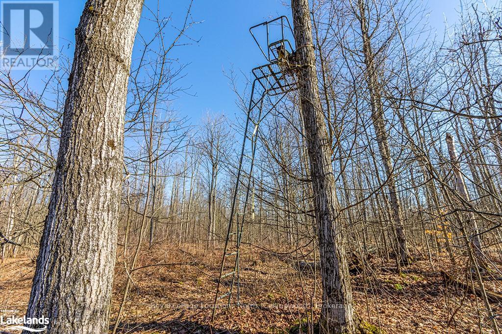 825141 Grey Road 40, Grey Highlands, Ontario  N0H 2S0 - Photo 39 - X10436629