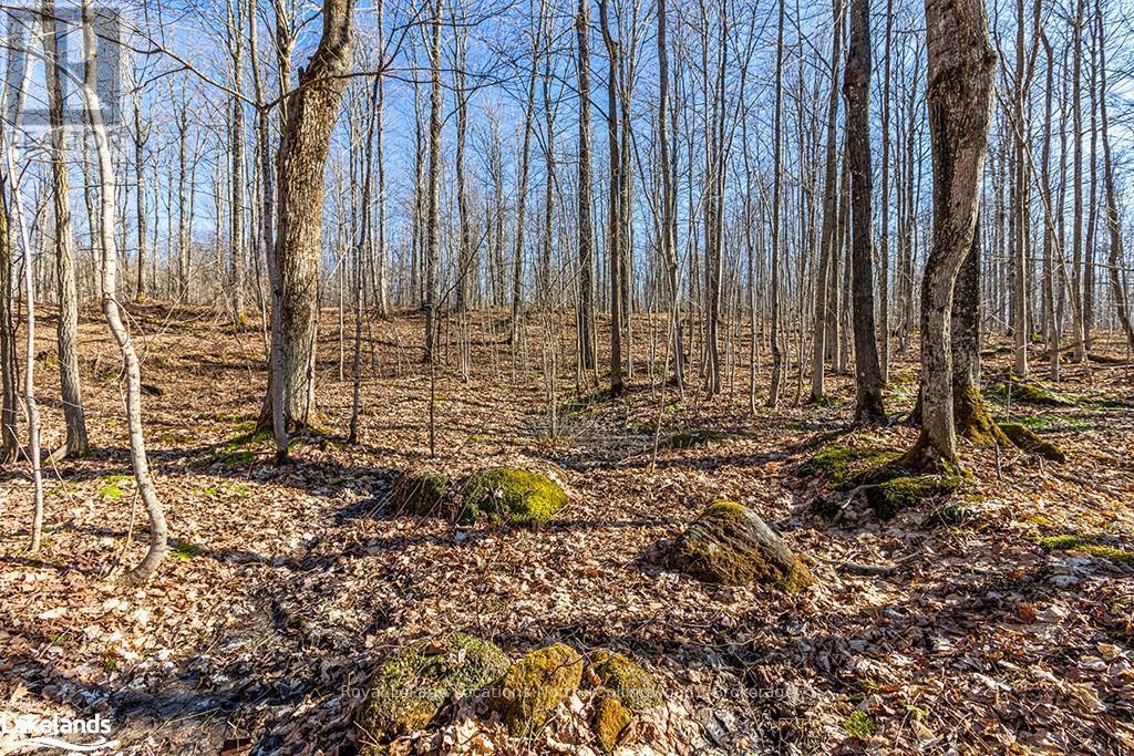 825141 Grey Road 40, Grey Highlands, Ontario  N0H 2S0 - Photo 40 - X10436629