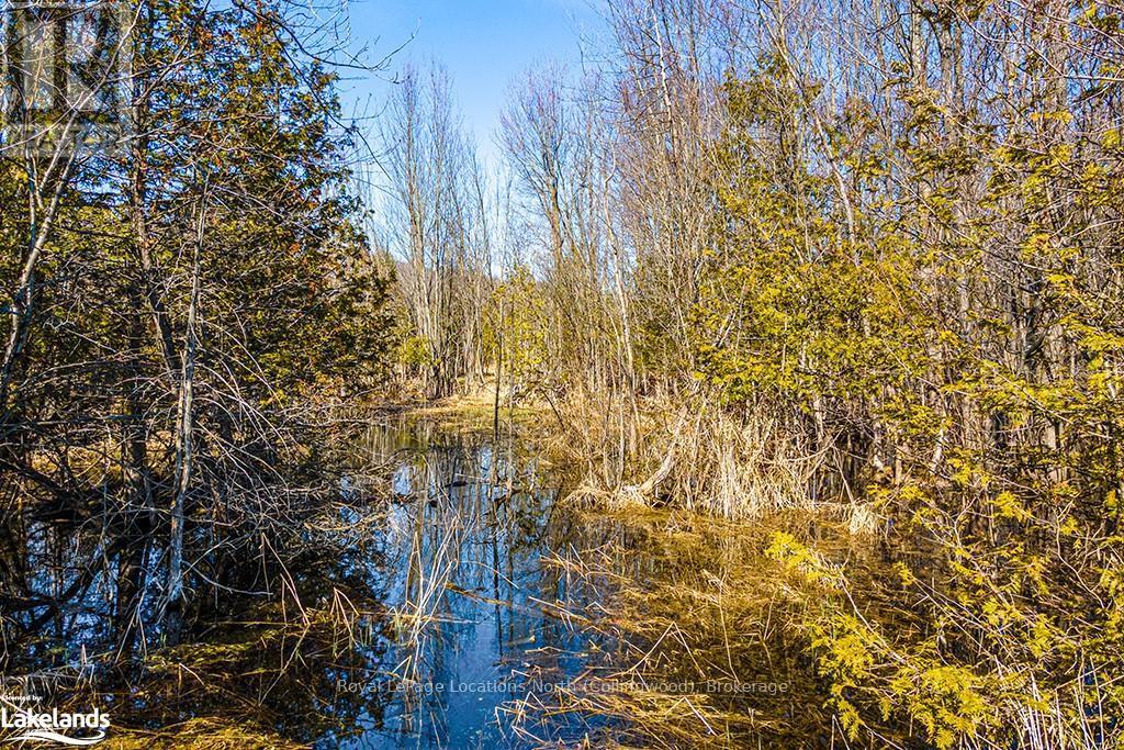 825141 Grey Road 40, Grey Highlands, Ontario  N0H 2S0 - Photo 6 - X10436629