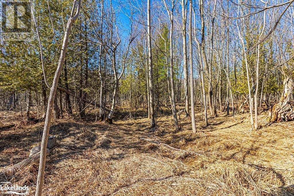 825141 Grey Road 40, Grey Highlands, Ontario  N0H 2S0 - Photo 7 - X10436629