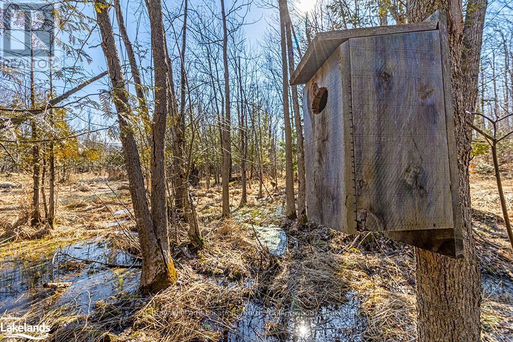 825141 Grey Road 40, Grey Highlands, Ontario  N0H 2S0 - Photo 8 - X10436629