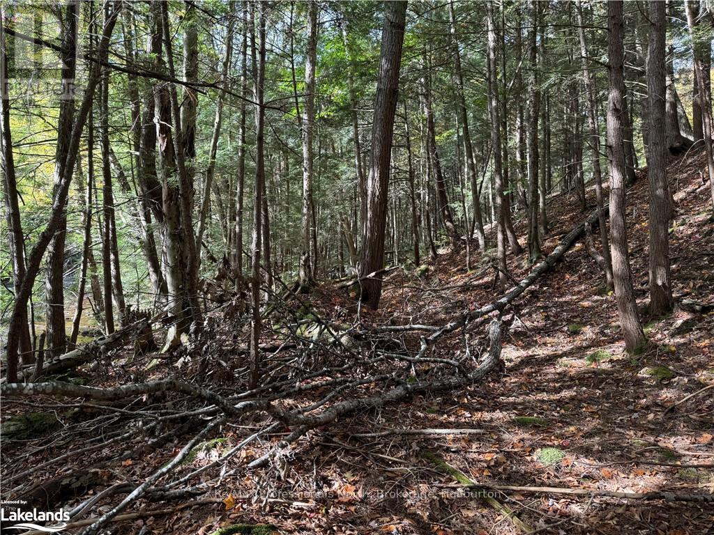 Lot 16 N/a, Algonquin Highlands, Ontario  K0M 1J2 - Photo 4 - X10436793