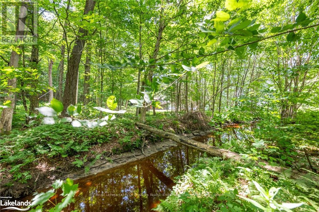 226 Chikopi Road, Magnetawan, Ontario  P0A 1P0 - Photo 34 - X10436884