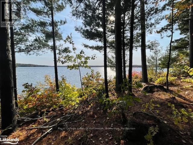 0 Hwy 35, Algonquin Highlands, Ontario  K0M 1S0 - Photo 14 - X10436241