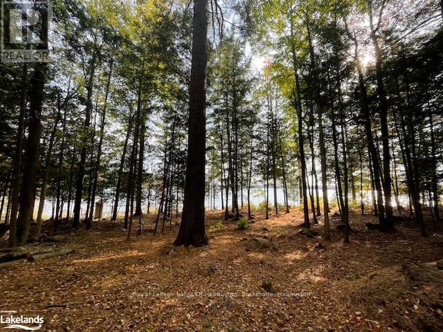0 Hwy 35, Algonquin Highlands, Ontario  K0M 1S0 - Photo 15 - X10436241