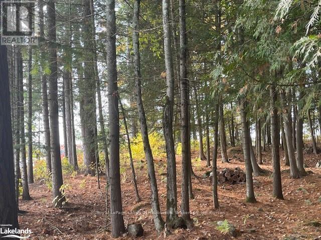 0 Hwy 35, Algonquin Highlands, Ontario  K0M 1S0 - Photo 16 - X10436241