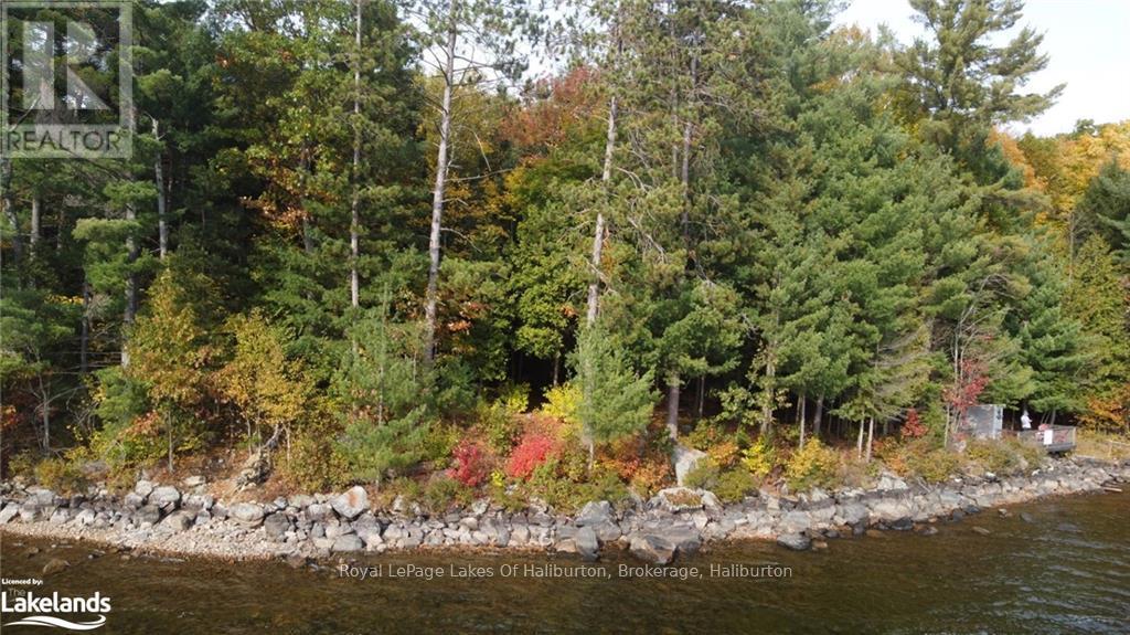 0 Hwy 35, Algonquin Highlands, Ontario  K0M 1S0 - Photo 17 - X10436241