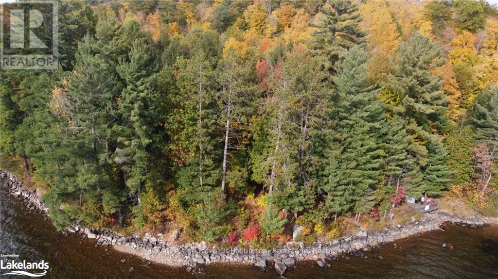 0 Hwy 35, Algonquin Highlands, Ontario  K0M 1S0 - Photo 19 - X10436241