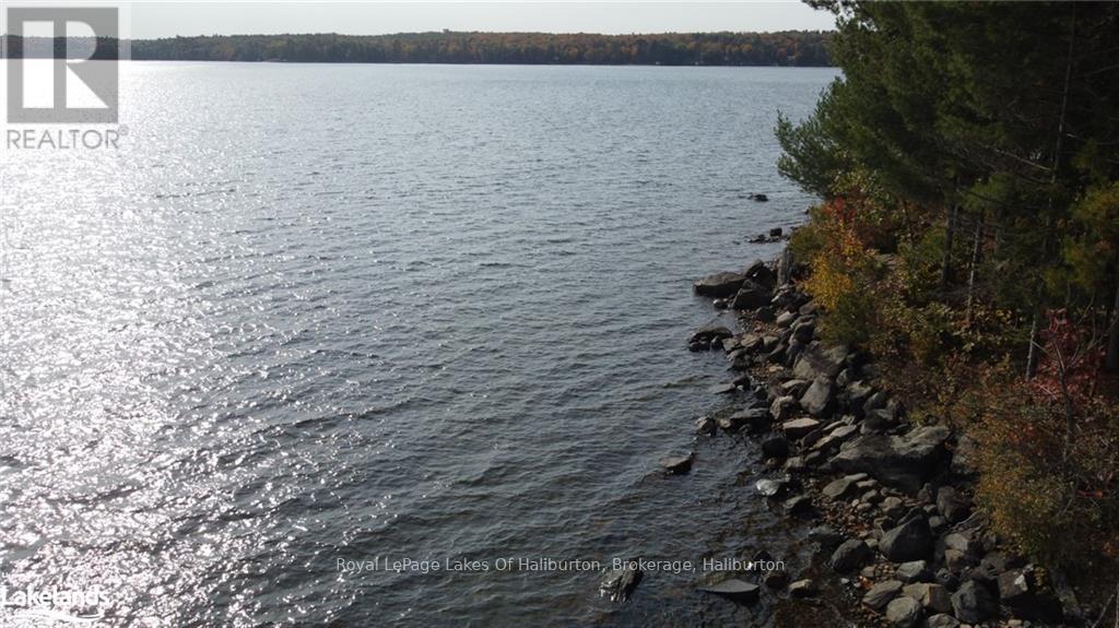 0 Hwy 35, Algonquin Highlands, Ontario  K0M 1S0 - Photo 20 - X10436241