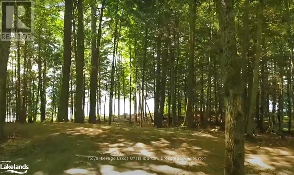 0 Hwy 35, Algonquin Highlands, Ontario  K0M 1S0 - Photo 22 - X10436241