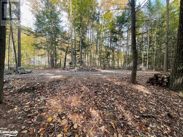 0 Hwy 35, Algonquin Highlands, Ontario  K0M 1S0 - Photo 23 - X10436241