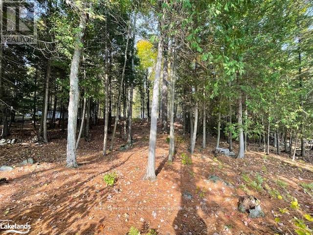 0 Hwy 35, Algonquin Highlands, Ontario  K0M 1S0 - Photo 25 - X10436241