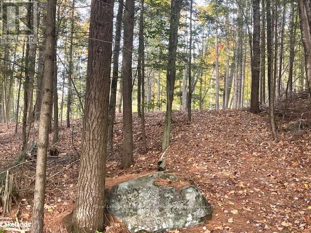 0 Hwy 35, Algonquin Highlands, Ontario  K0M 1S0 - Photo 26 - X10436241