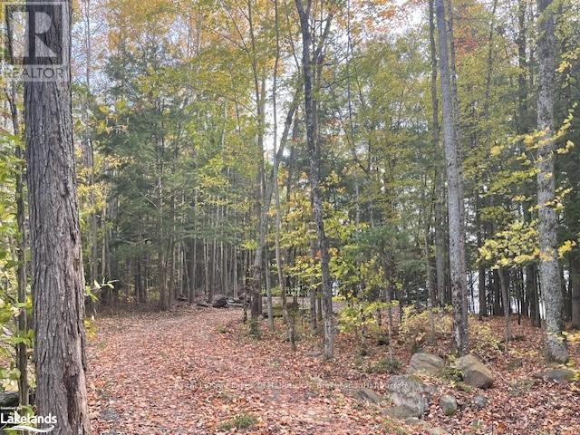 0 Hwy 35, Algonquin Highlands, Ontario  K0M 1S0 - Photo 28 - X10436241