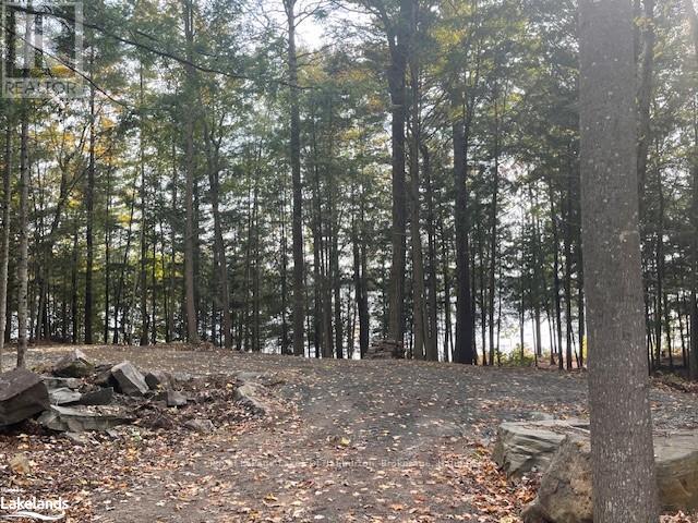 0 Hwy 35, Algonquin Highlands, Ontario  K0M 1S0 - Photo 29 - X10436241