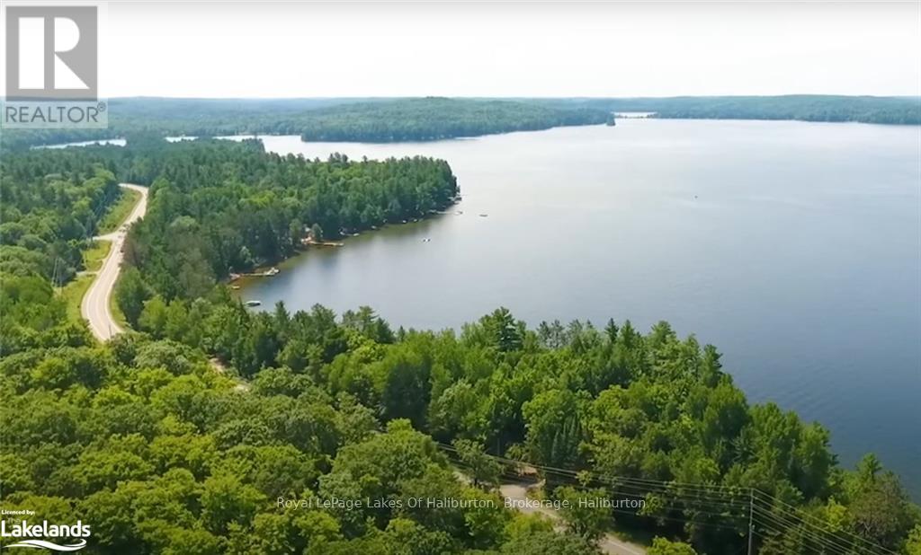 0 Hwy 35, Algonquin Highlands, Ontario  K0M 1S0 - Photo 3 - X10436241