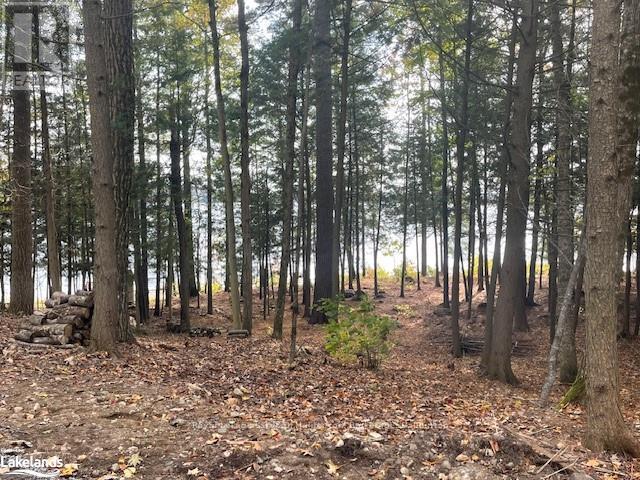 0 Hwy 35, Algonquin Highlands, Ontario  K0M 1S0 - Photo 30 - X10436241