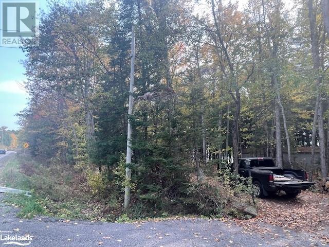 0 Hwy 35, Algonquin Highlands, Ontario  K0M 1S0 - Photo 31 - X10436241