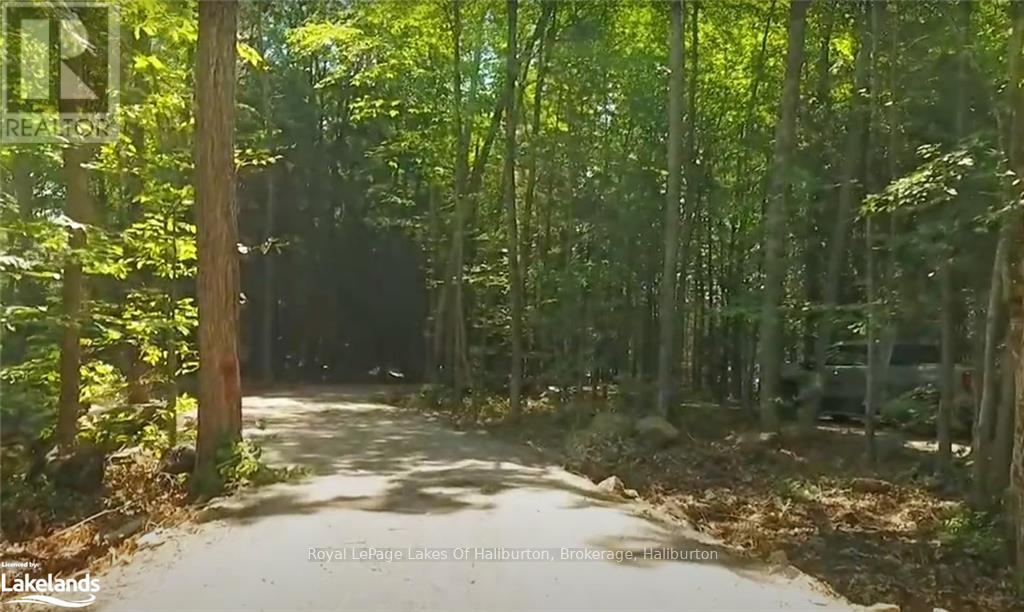 0 Hwy 35, Algonquin Highlands, Ontario  K0M 1S0 - Photo 33 - X10436241