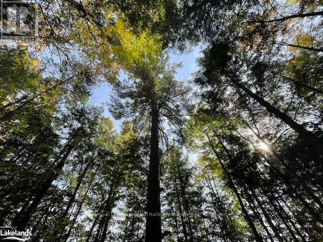 0 Hwy 35, Algonquin Highlands, Ontario  K0M 1S0 - Photo 35 - X10436241