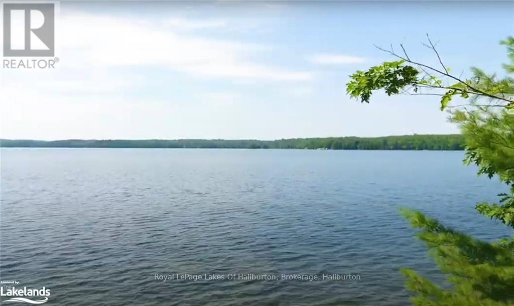 0 Hwy 35, Algonquin Highlands, Ontario  K0M 1S0 - Photo 36 - X10436241