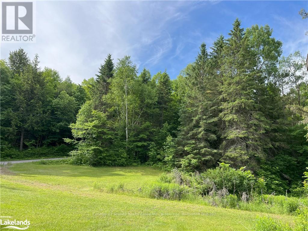 1329 Duck Lake Road, Minden Hills, Ontario  K0M 2K0 - Photo 18 - X10437090