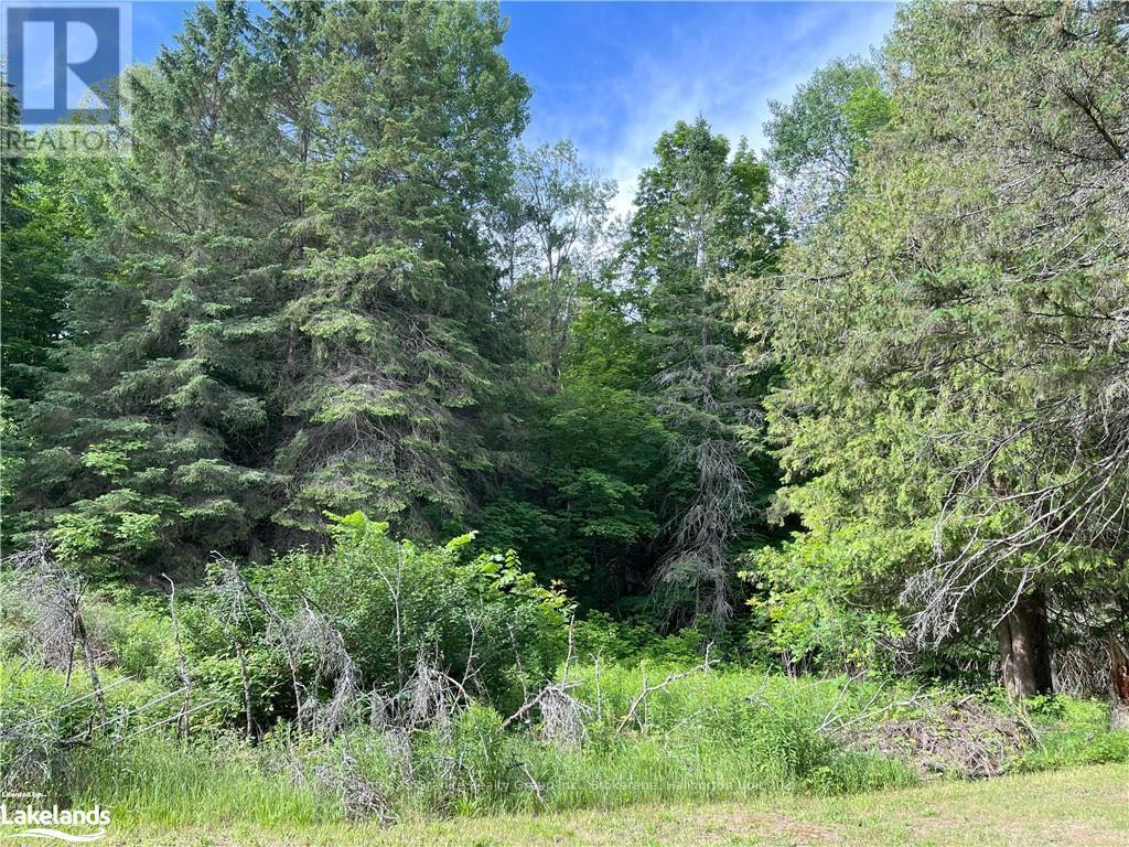 1329 Duck Lake Road, Minden Hills, Ontario  K0M 2K0 - Photo 20 - X10437090