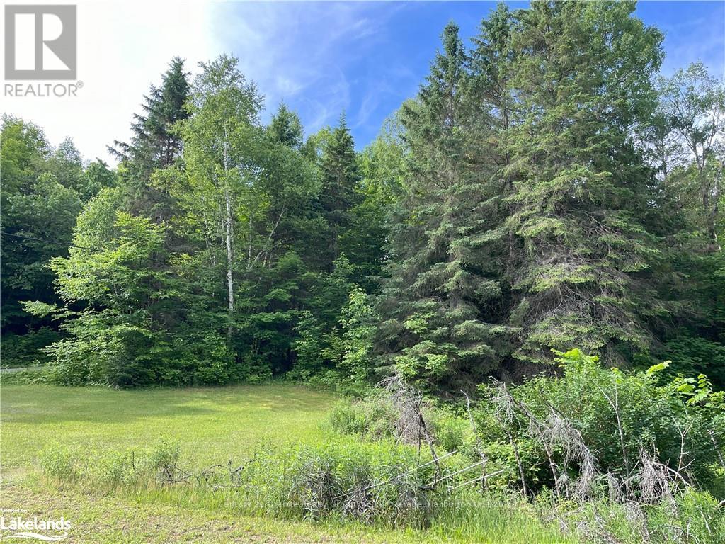 1329 Duck Lake Road, Minden Hills, Ontario  K0M 2K0 - Photo 21 - X10437090