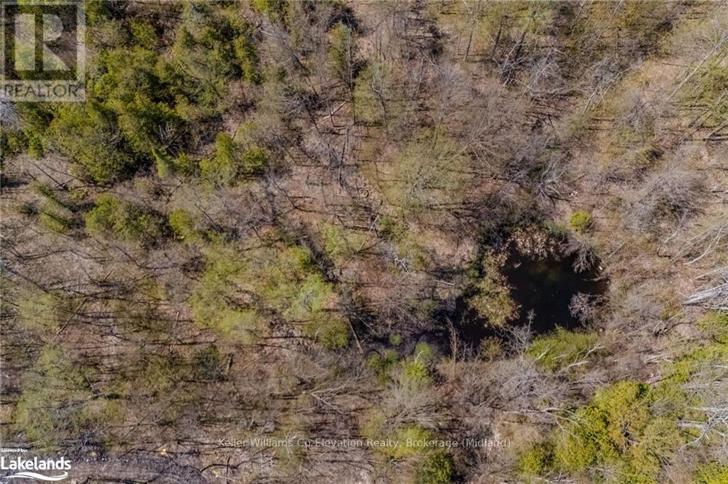 12824 County Road 16, Severn, Ontario  L0K 2C0 - Photo 10 - S10896954