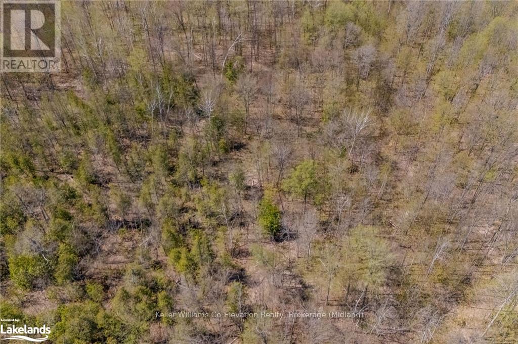 12824 County Road 16, Severn, Ontario  L0K 2C0 - Photo 11 - S10896954