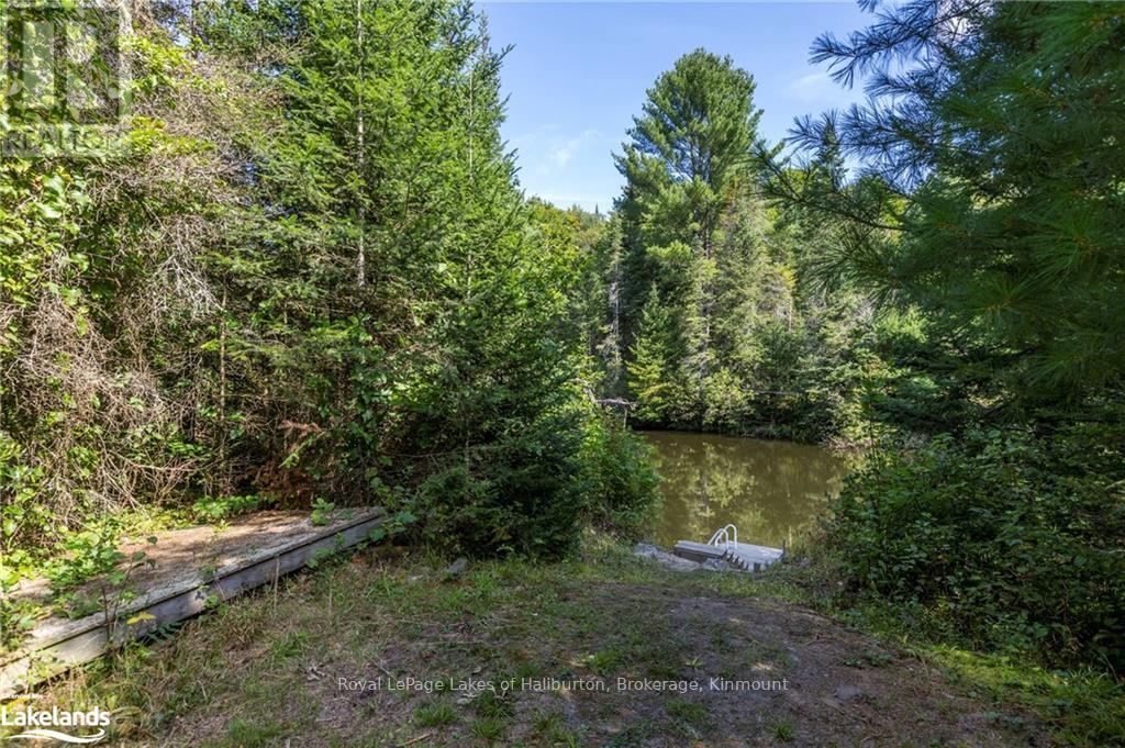 1880 Boldts Lane, Minden Hills, Ontario  K0M 2A1 - Photo 12 - X10437447