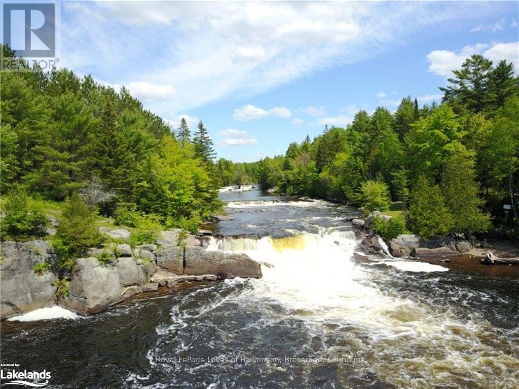 1880 Boldts Lane, Minden Hills, Ontario  K0M 2A1 - Photo 6 - X10437447