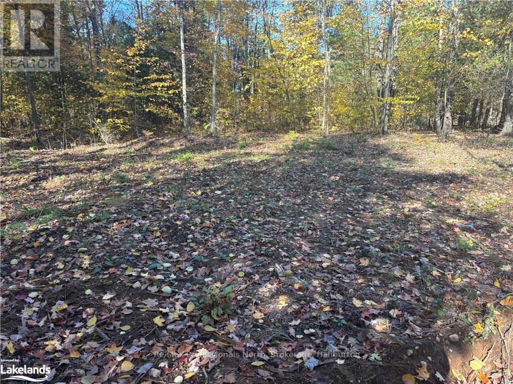 Lot 6 N/a, Algonquin Highlands, Ontario  K0M 1J2 - Photo 5 - X10437670