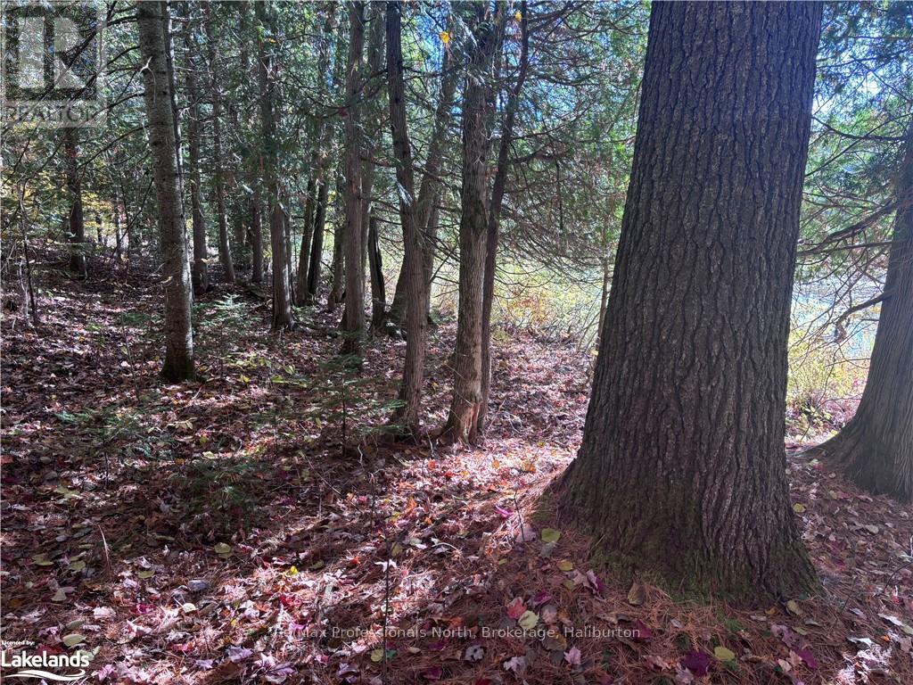 Lot 6 N/a, Algonquin Highlands, Ontario  K0M 1J2 - Photo 6 - X10437670