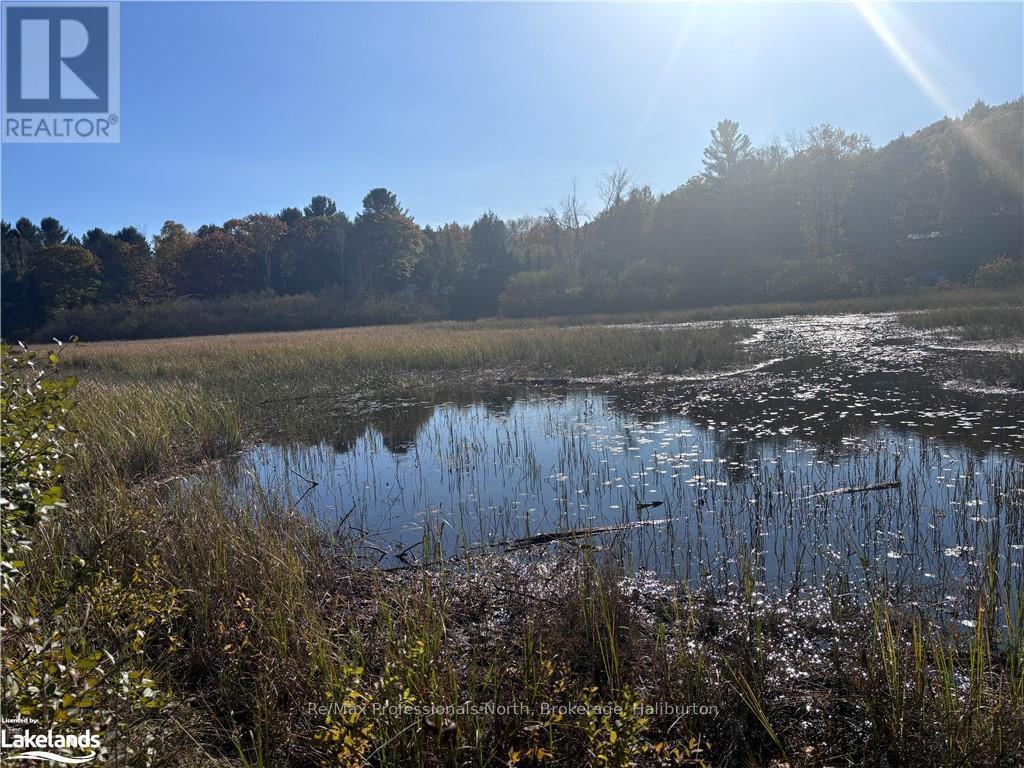 Lot 6 N/a, Algonquin Highlands, Ontario  K0M 1J2 - Photo 7 - X10437670