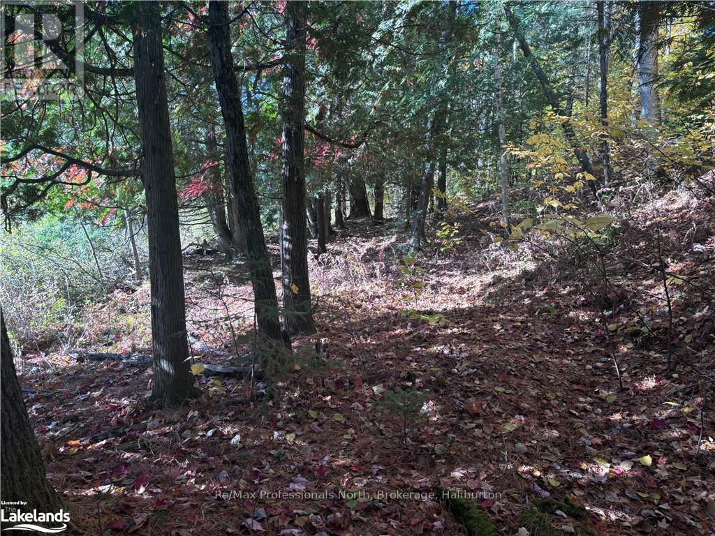 Lot 6 N/a, Algonquin Highlands, Ontario  K0M 1J2 - Photo 9 - X10437670