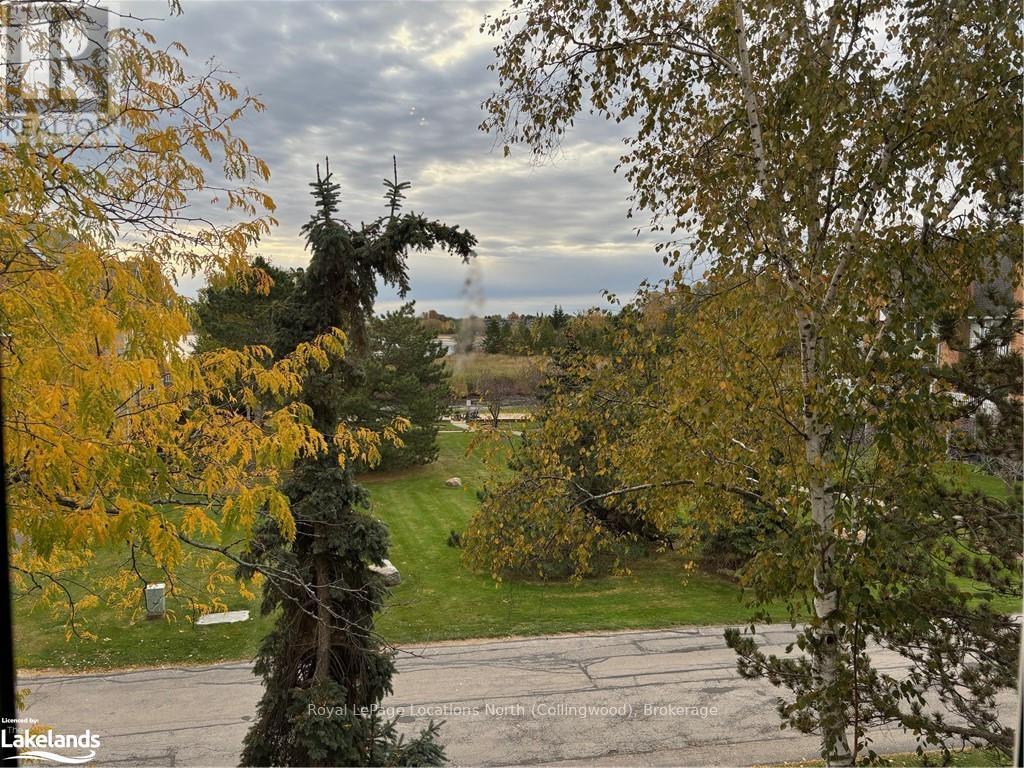 92 - 18 Ramblings Way, Collingwood, Ontario  L9Y 5C6 - Photo 23 - S10437720