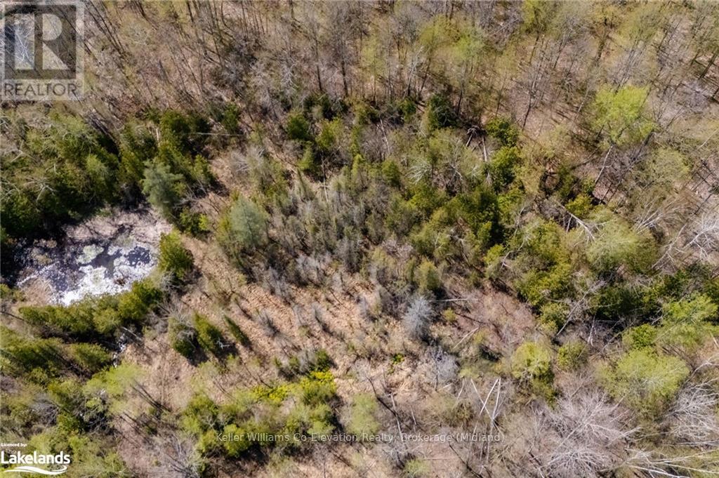 12824 County Road 16, Severn, Ontario  L0K 2C0 - Photo 4 - S10896954