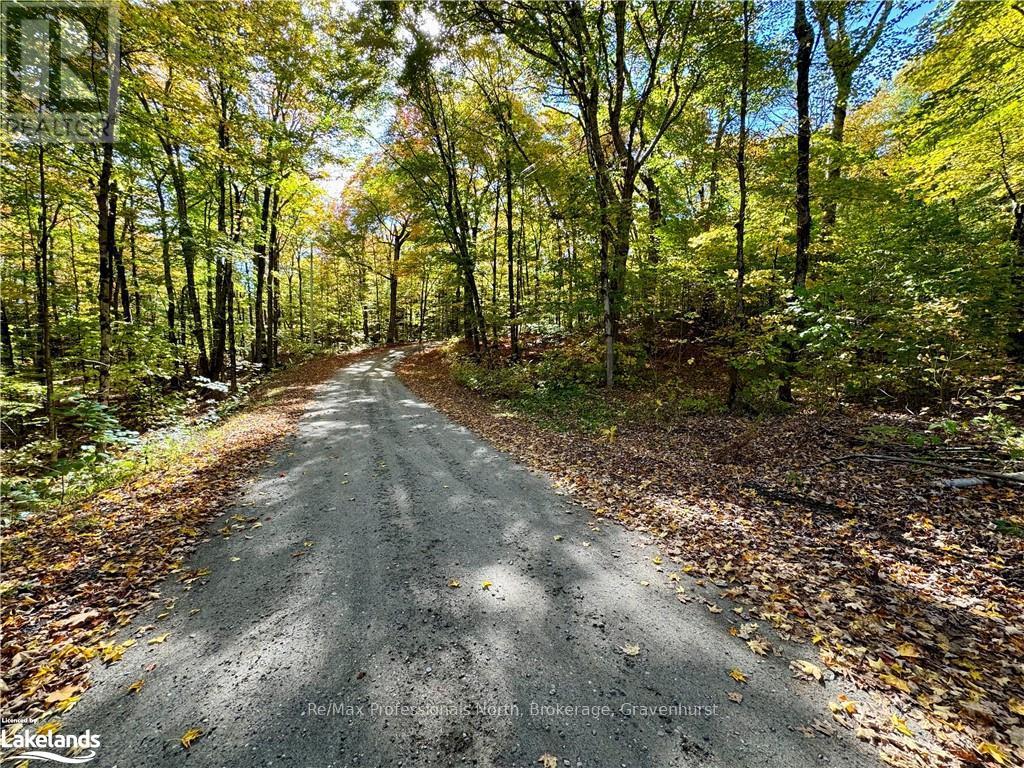 234 Longs Lake Road, Huntsville, Ontario  P0B 1M0 - Photo 1 - X10435412