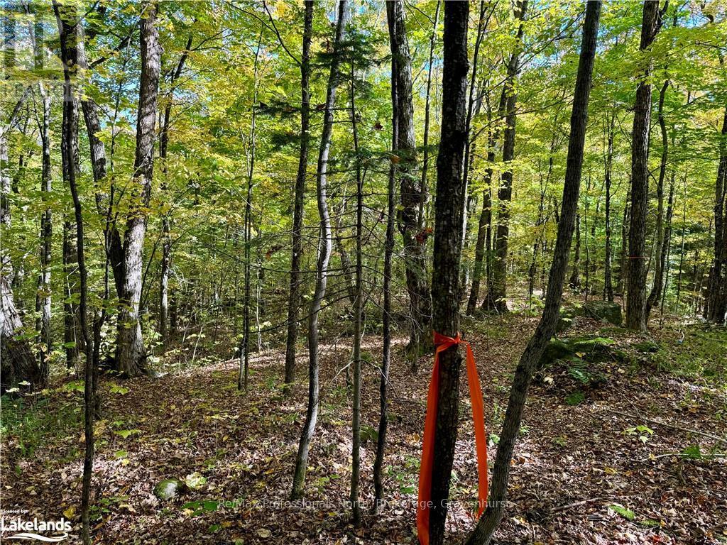 234 Longs Lake Road, Huntsville, Ontario  P0B 1M0 - Photo 13 - X10435412