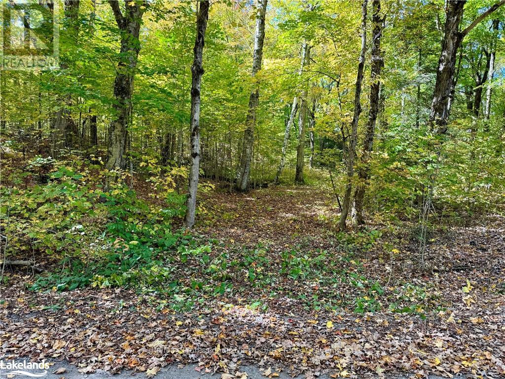 234 Longs Lake Road, Huntsville, Ontario  P0B 1M0 - Photo 2 - X10435412