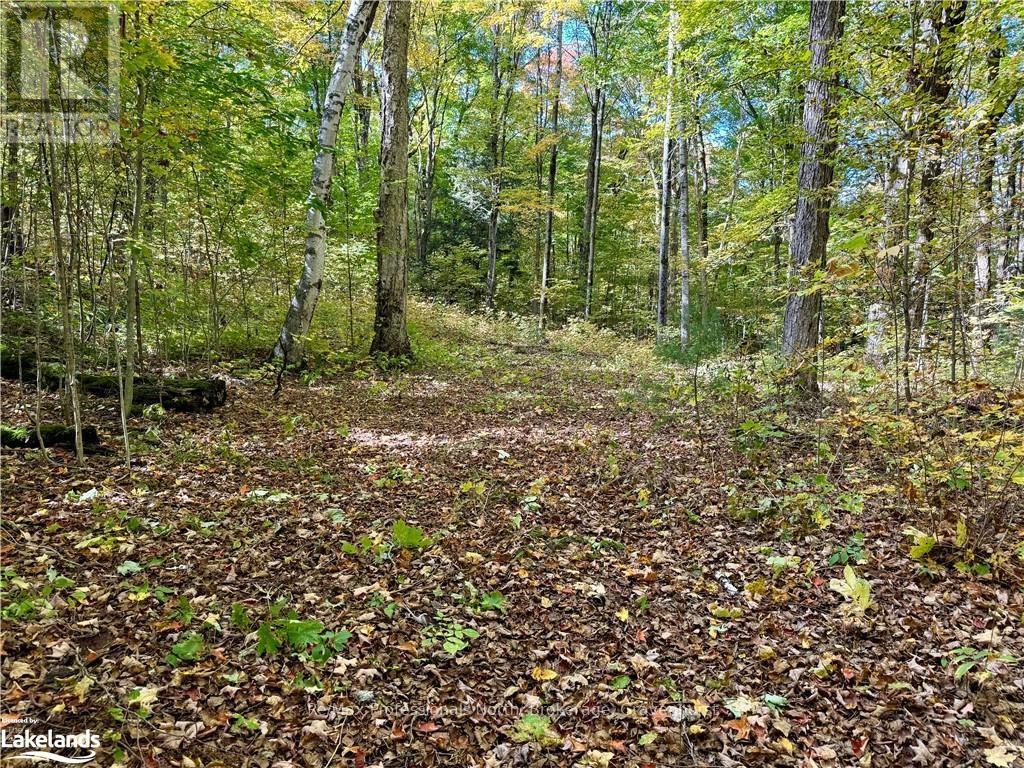 234 Longs Lake Road, Huntsville, Ontario  P0B 1M0 - Photo 3 - X10435412