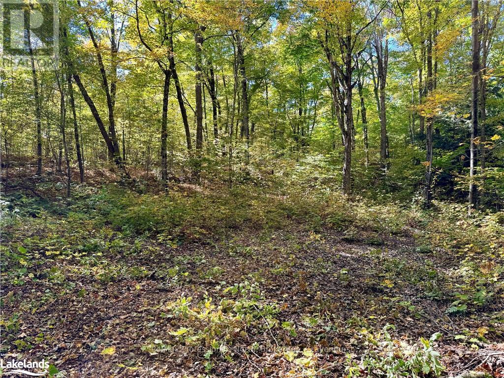 234 Longs Lake Road, Huntsville, Ontario  P0B 1M0 - Photo 4 - X10435412